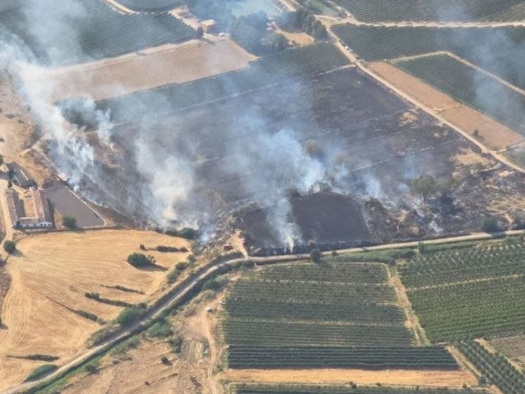 Artesa de Lleida condemna els incendis "provocats a causa d'actes incívics" durant la revetlla