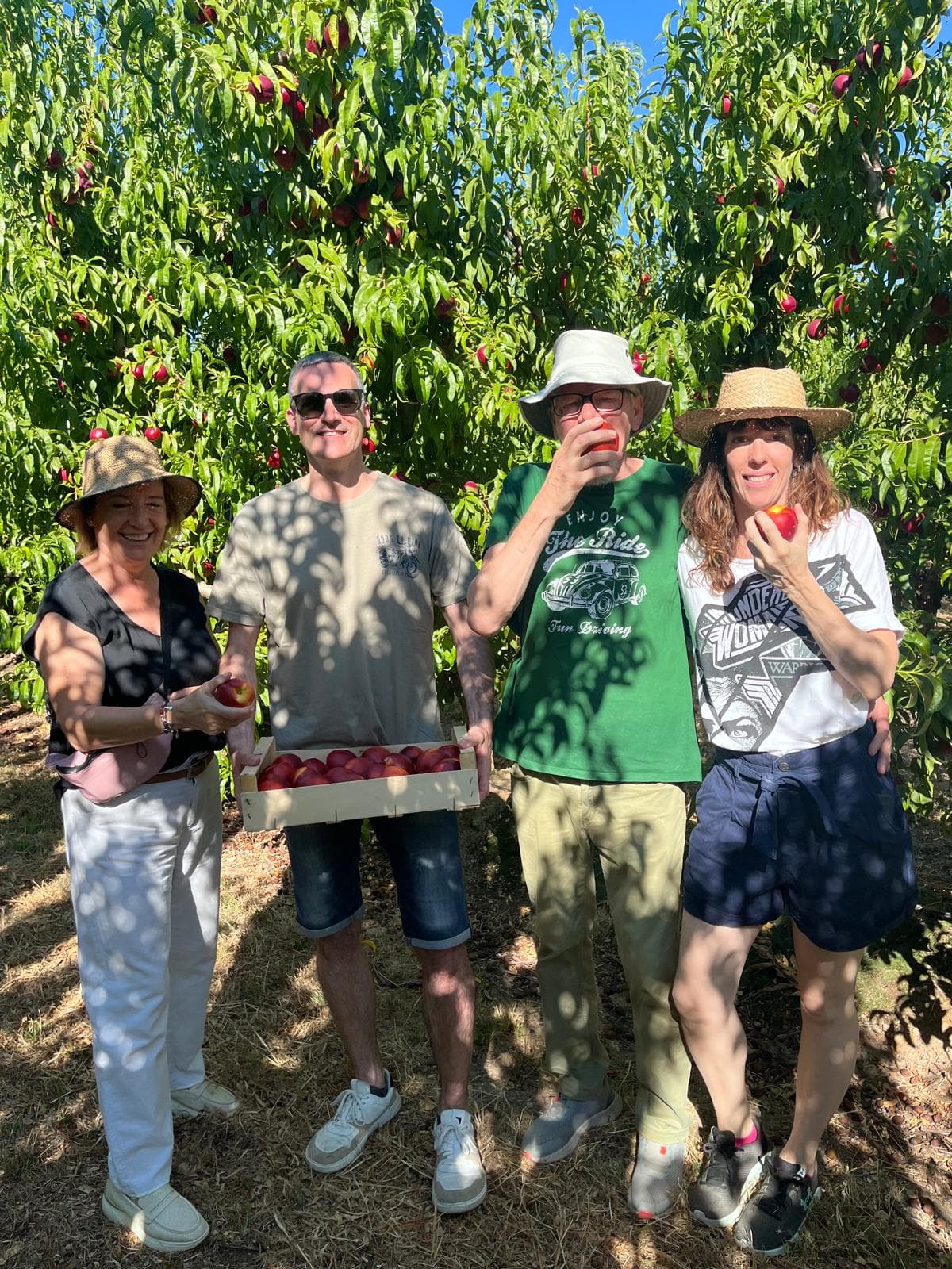 Una cinquantena de persones viu a Aitona l'experiència de collir préssecs, nectarines i paraguains