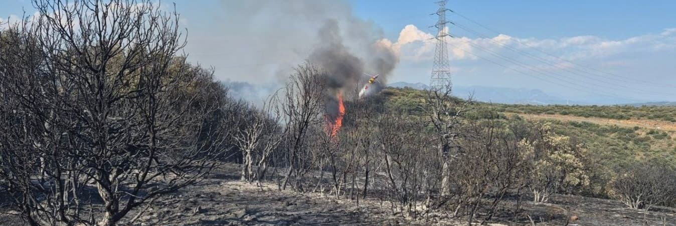 L’incendi forestal d’Artesa de Segre està controlat