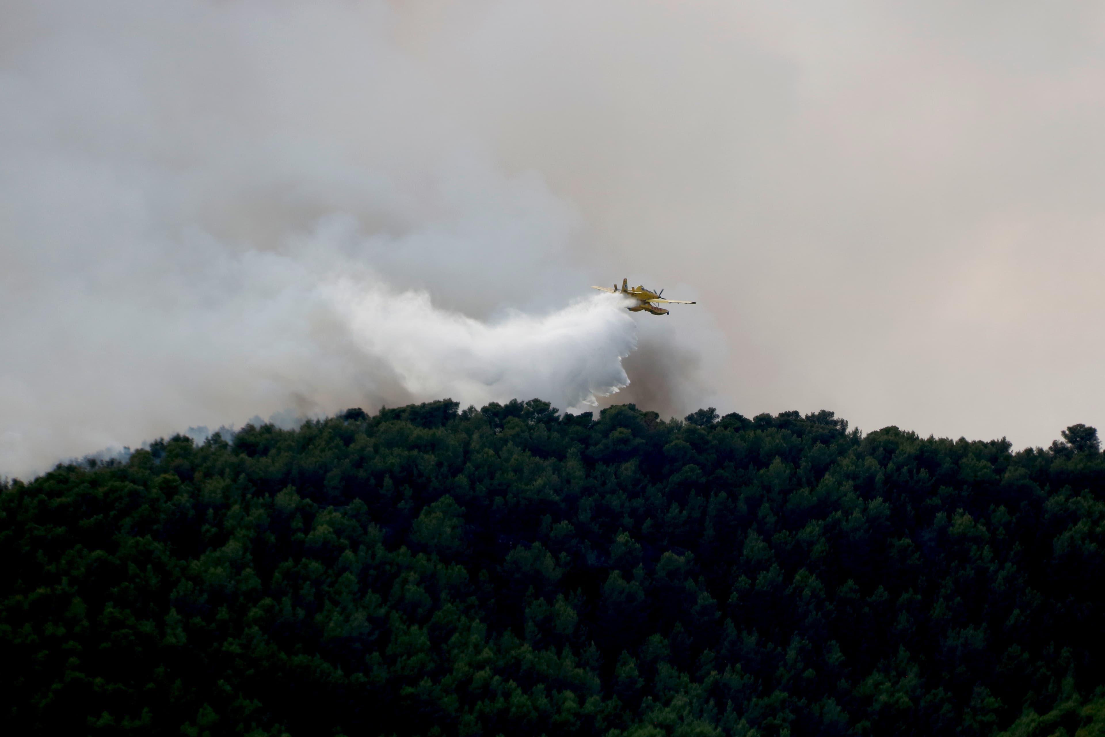 Els Bombers treballen per evitar revifalles i poder estabilitzar l'incendi d'Aiguamúrcia aquest dilluns al vespre