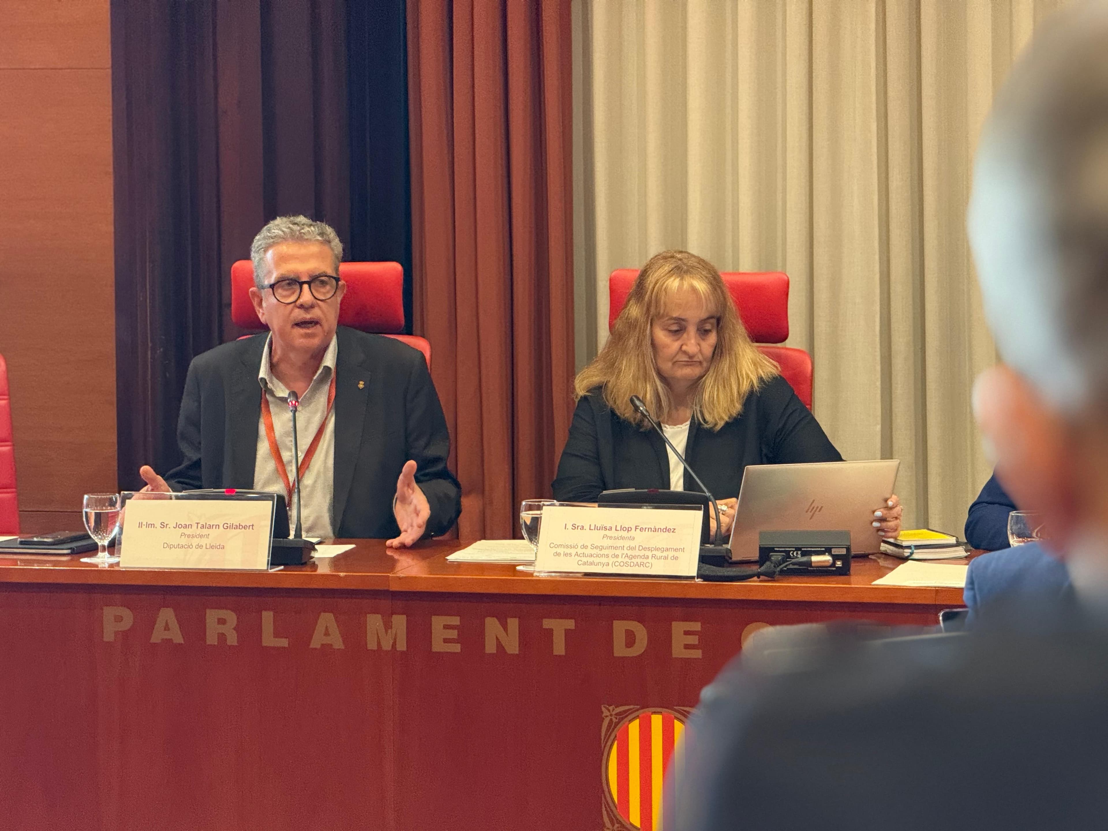 La Diputació de Lleida reclama un nou model de gestió forestal per prevenir incendis i combatre el despoblament