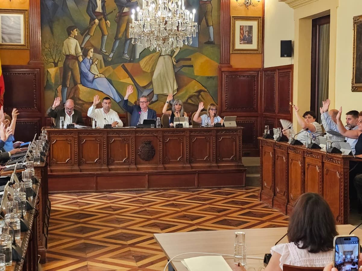 El Ple de la Diputació de Lleida fa un clam unànime per a la revisió del PLATER