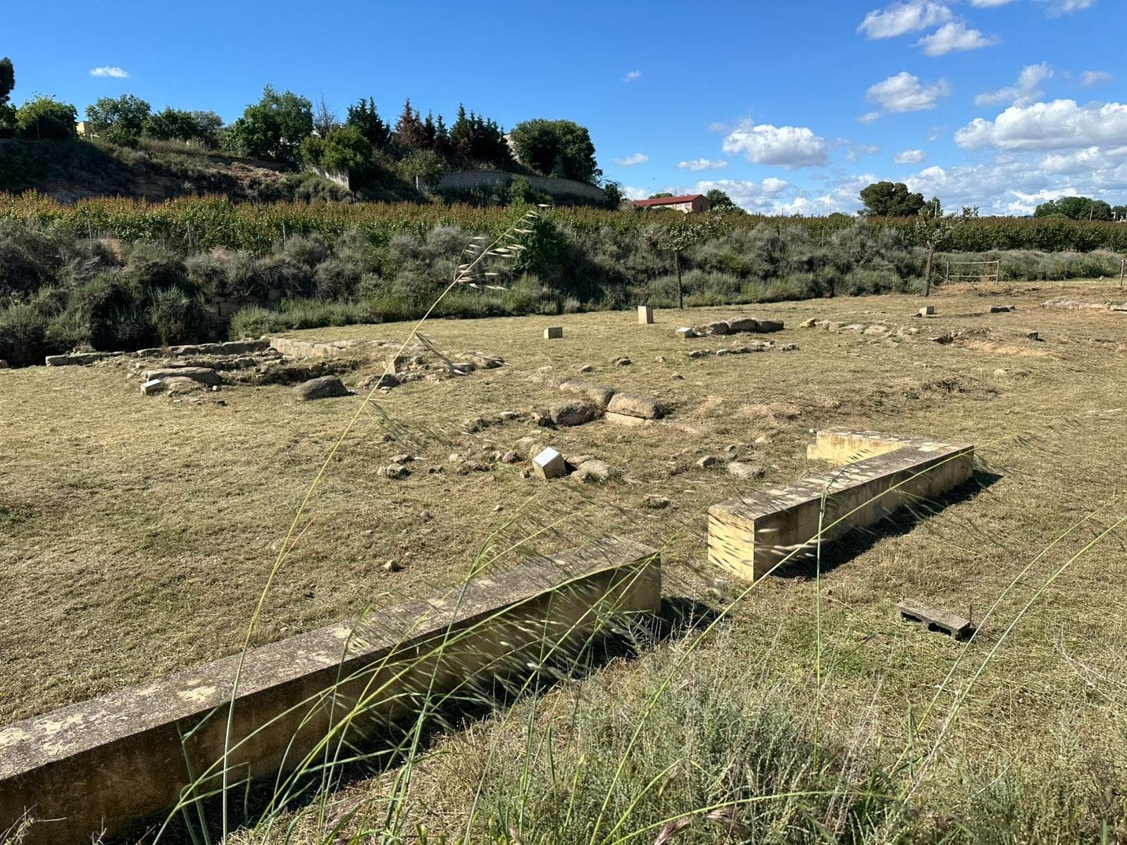 Les restes romanes de la vil·la, el mausoleu, la necròpolis i el molí oleícola de Corbins, declarats Bé Cultural d’Interés Local