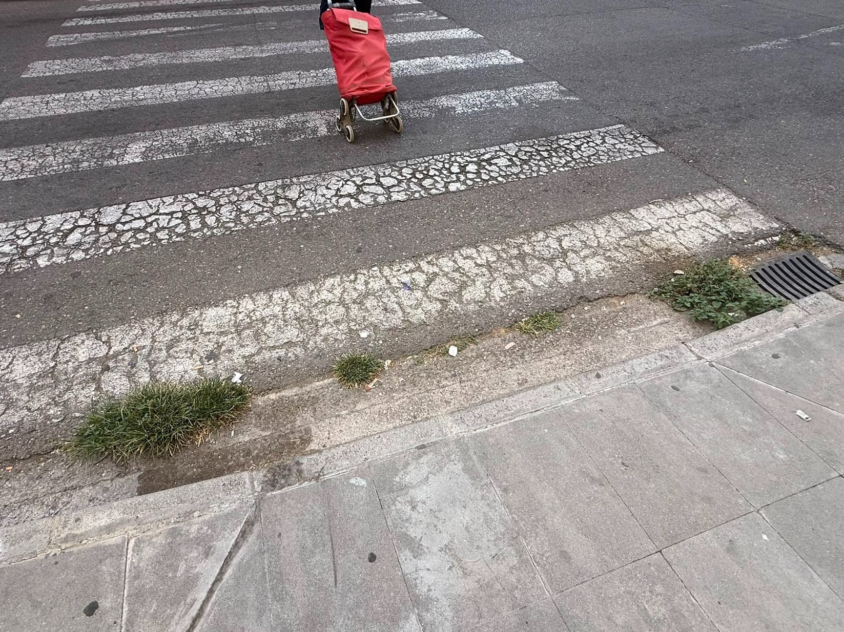 El PP denuncia la mala gestió del desbrossament al carrer Pere Cavasequia