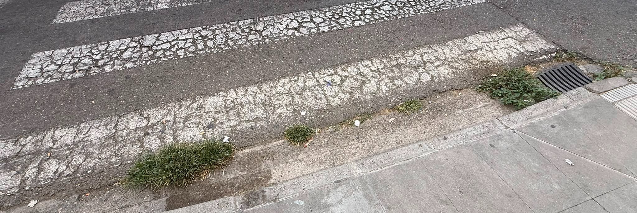 El PP denuncia la mala gestió del desbrossament al carrer Pere Cavasequia