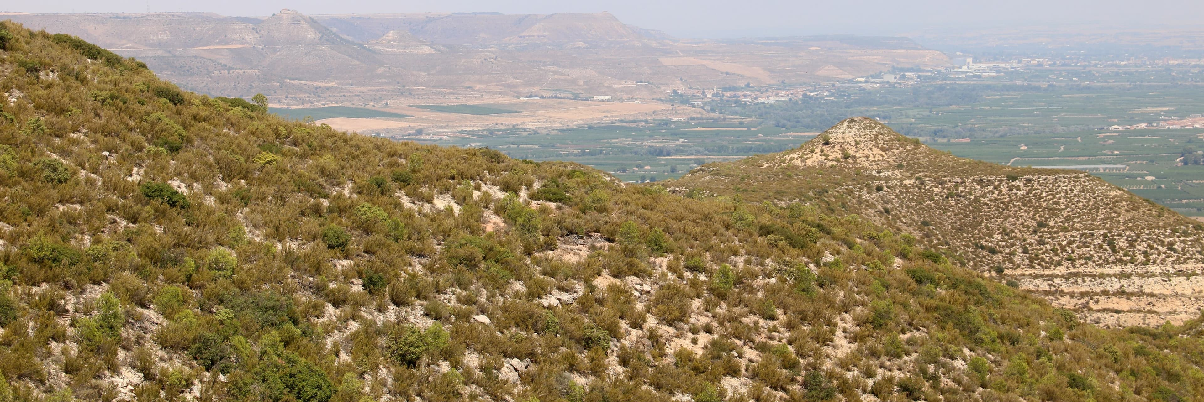 La Granja d'Escarp, Seròs i Almatret restringiran l’accés a Montmaneu i zones boscoses durant l’eclipsi pel risc d’incendi