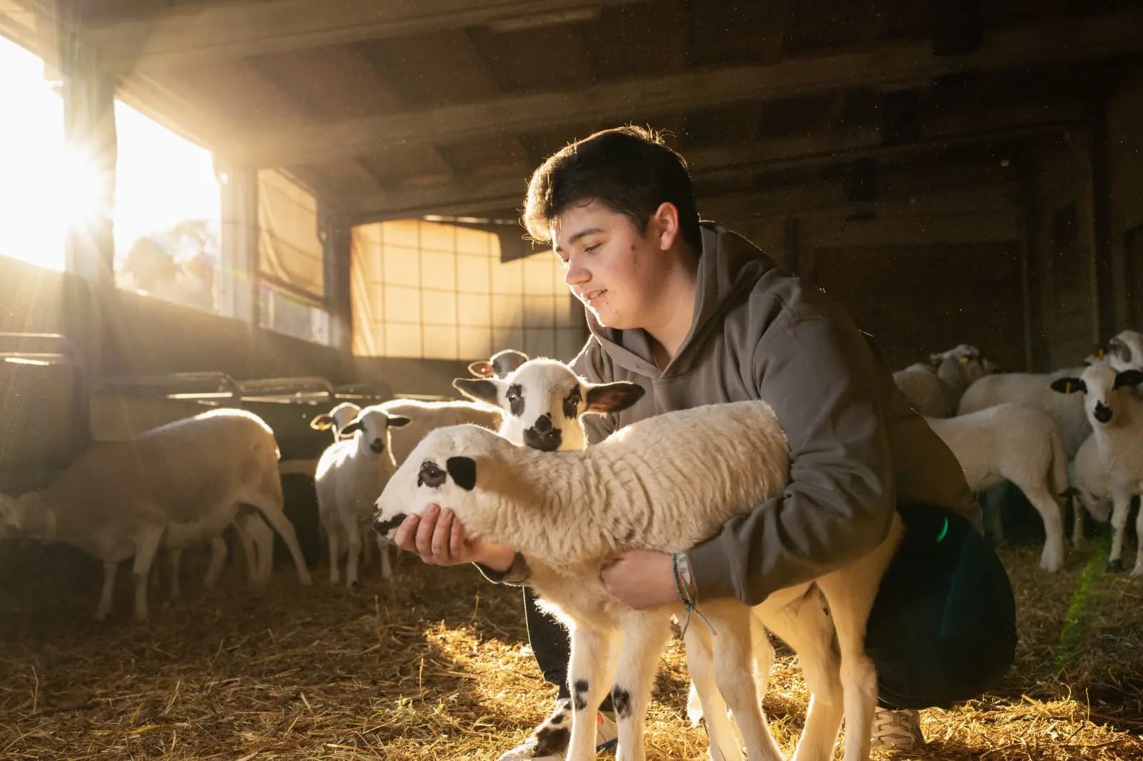 JARC demana flexibilitzar temporalment l’alimentació de la ramaderia ecològica per la manca de pastures
