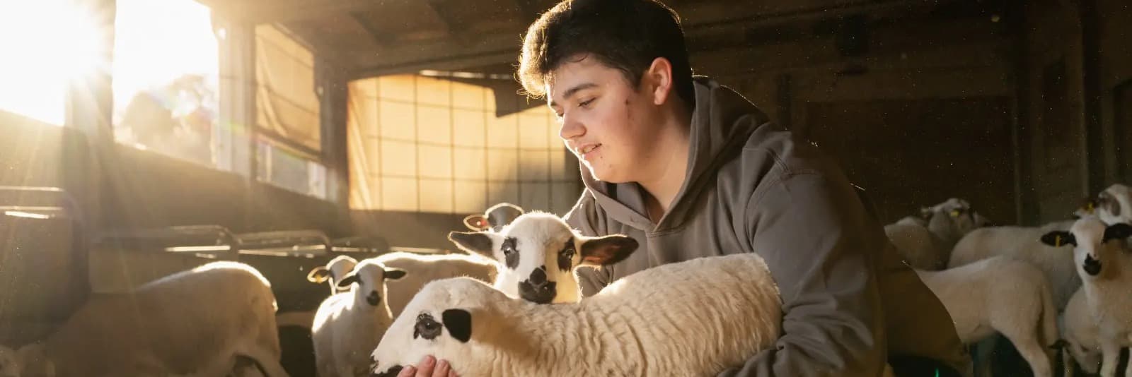 JARC demana flexibilitzar temporalment l’alimentació de la ramaderia ecològica per la manca de pastures