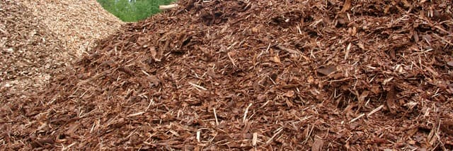 El consum de biomassa forestal augmenta un 19% el 2025, fins a 652.500 tones