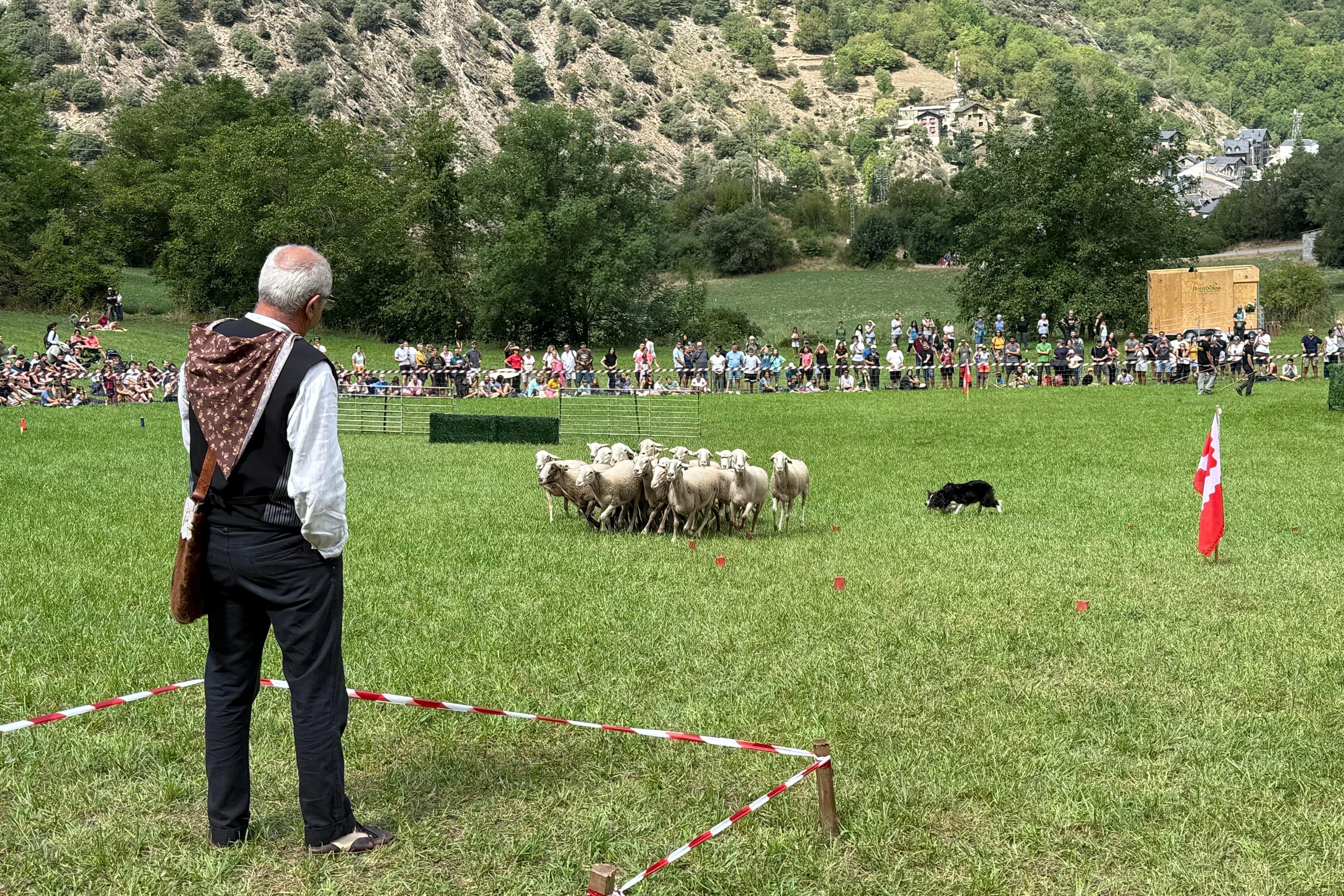 Llavorsí reivindica l’ofici de pastor amb el 38è Concurs de Gossos d’Atura