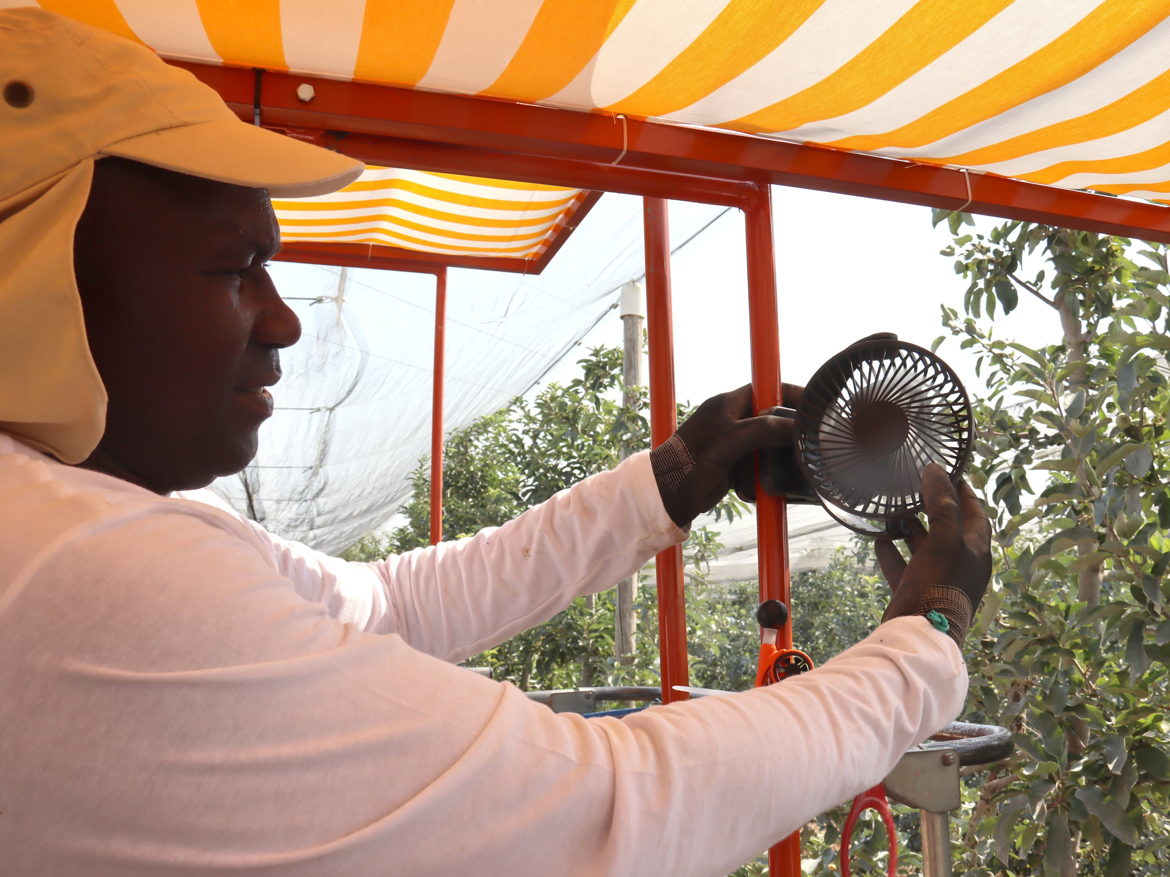 Diverses finques fruiteres de Ponent treballen amb una prova pilot per millorar les condicions dels treballadors davant la calor