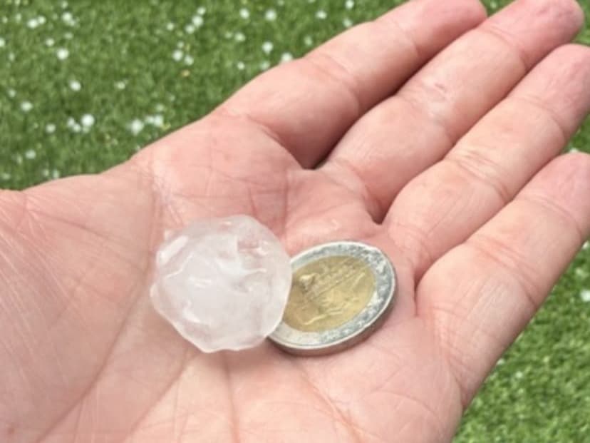 La tempesta descarrega pedrega amb afectació en cultius de fruita de diversos punts del Segrià
