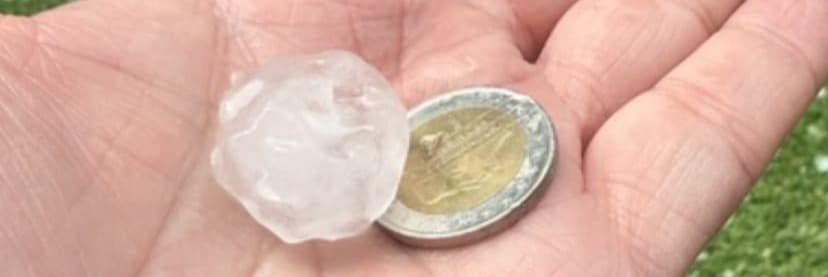 La tempesta descarrega pedrega amb afectació en cultius de fruita de diversos punts del Segrià