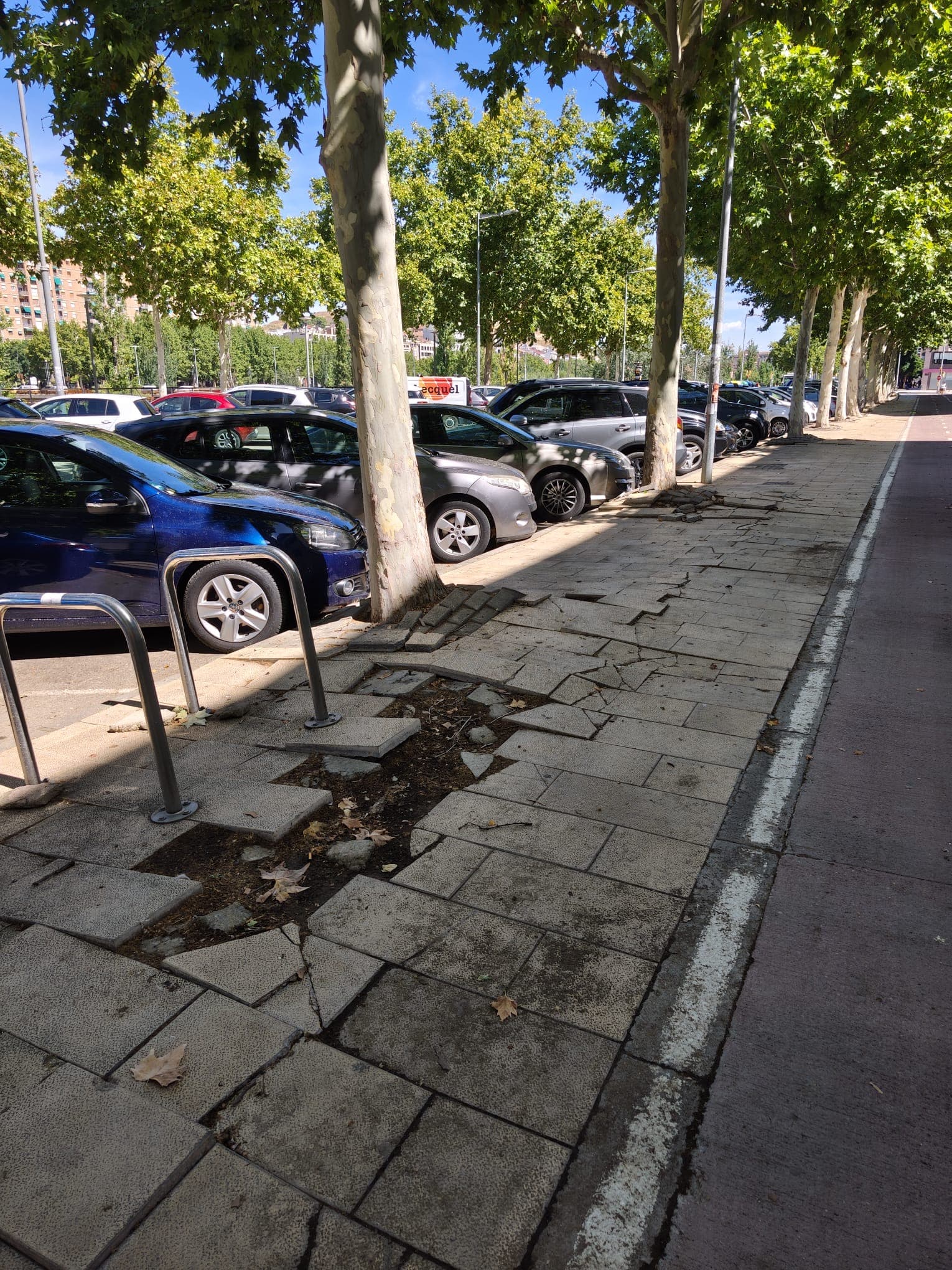 El Partit Popular de Lleida denuncia l’estat de la zona universitària de Cappont i reclama una actuació urgent al govern municipal