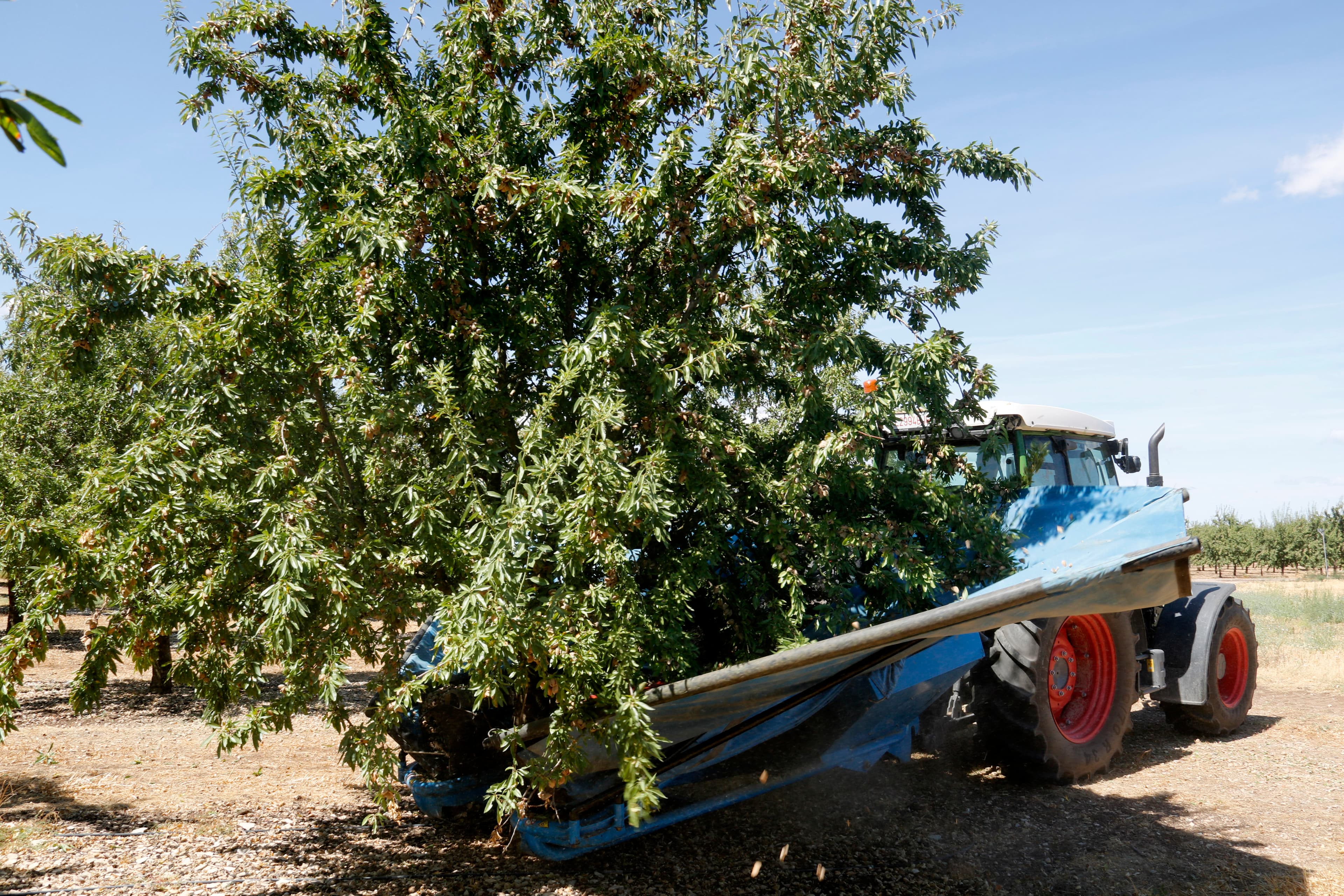 JARC reclama a Agricultura l'avançament de la PAC per reforçar la liquiditat de les explotacions
