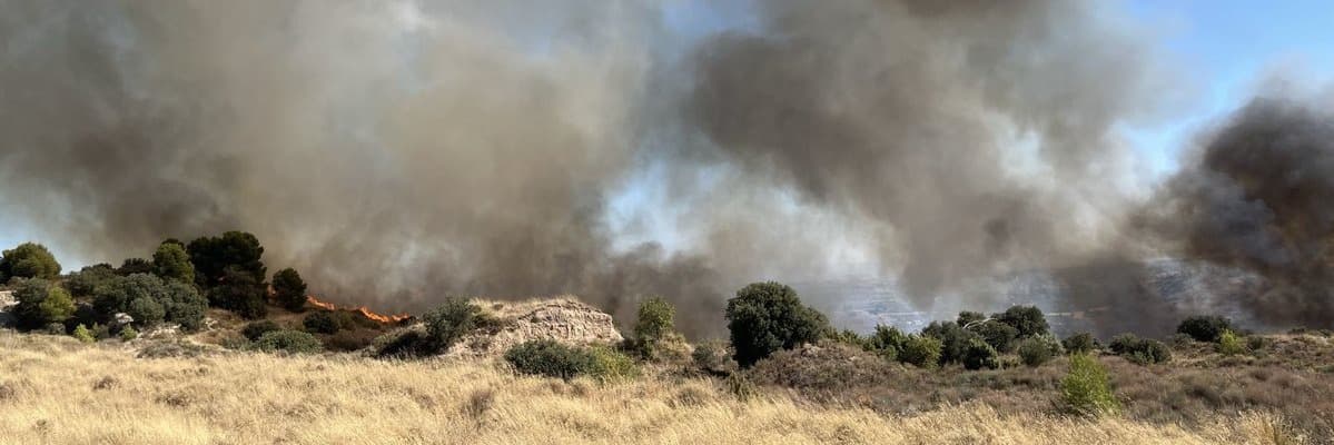 Un incendi de vegetació a Alfarràs obliga a confinar el nucli d’Andaní i diverses granges de l’entorn