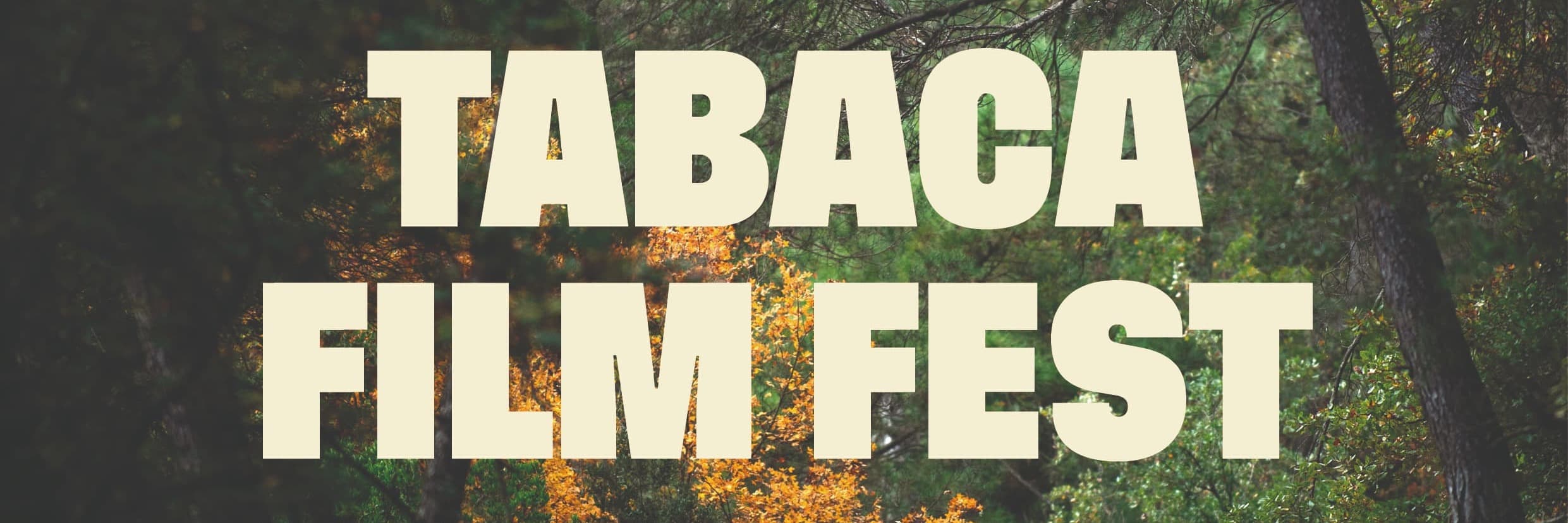 El Tabaca Film Fest s'estrenarà amb la presència del productor iranià Mahdi Rezayati i la projecció d’una vintena de curtmetratges