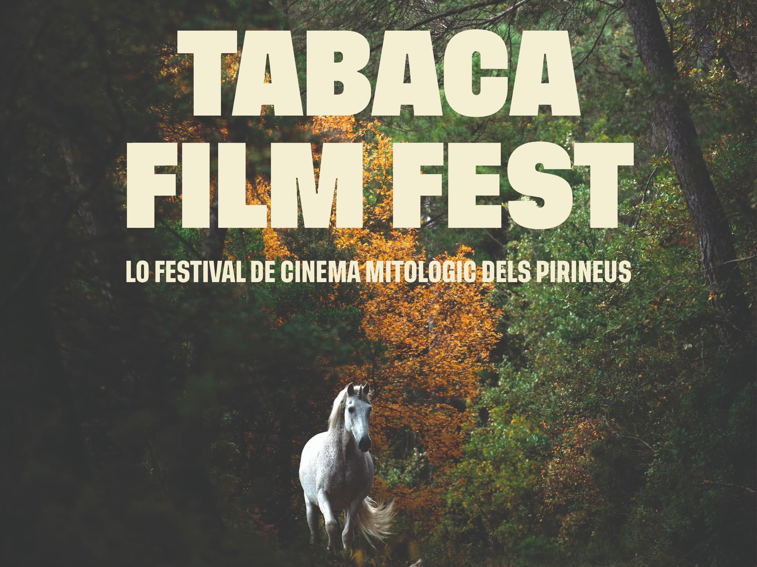 El Tabaca Film Fest s'estrenarà amb la presència del productor iranià Mahdi Rezayati i la projecció d’una vintena de curtmetratges