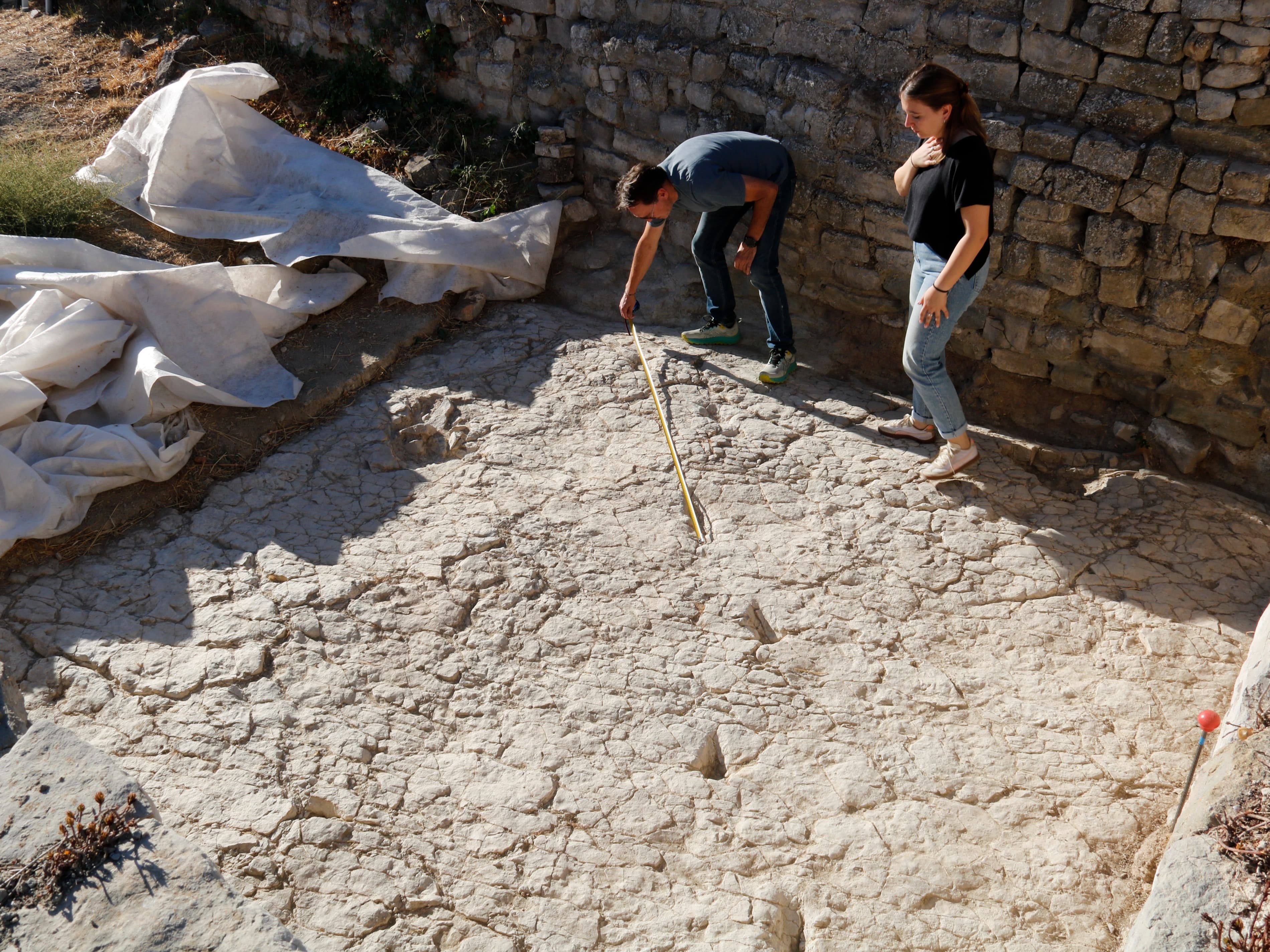 Troben vuit petjades fossilitzades d’una espècie d’èquid que va viure fa 30 milions al castell de Cervera