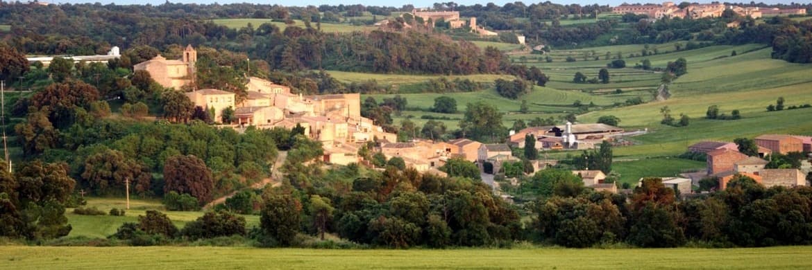 Sant Guim de Freixanet constata que als seus pobles adjacents hi ha “moltes cases buides que no es posen en lloguer ni es venen”