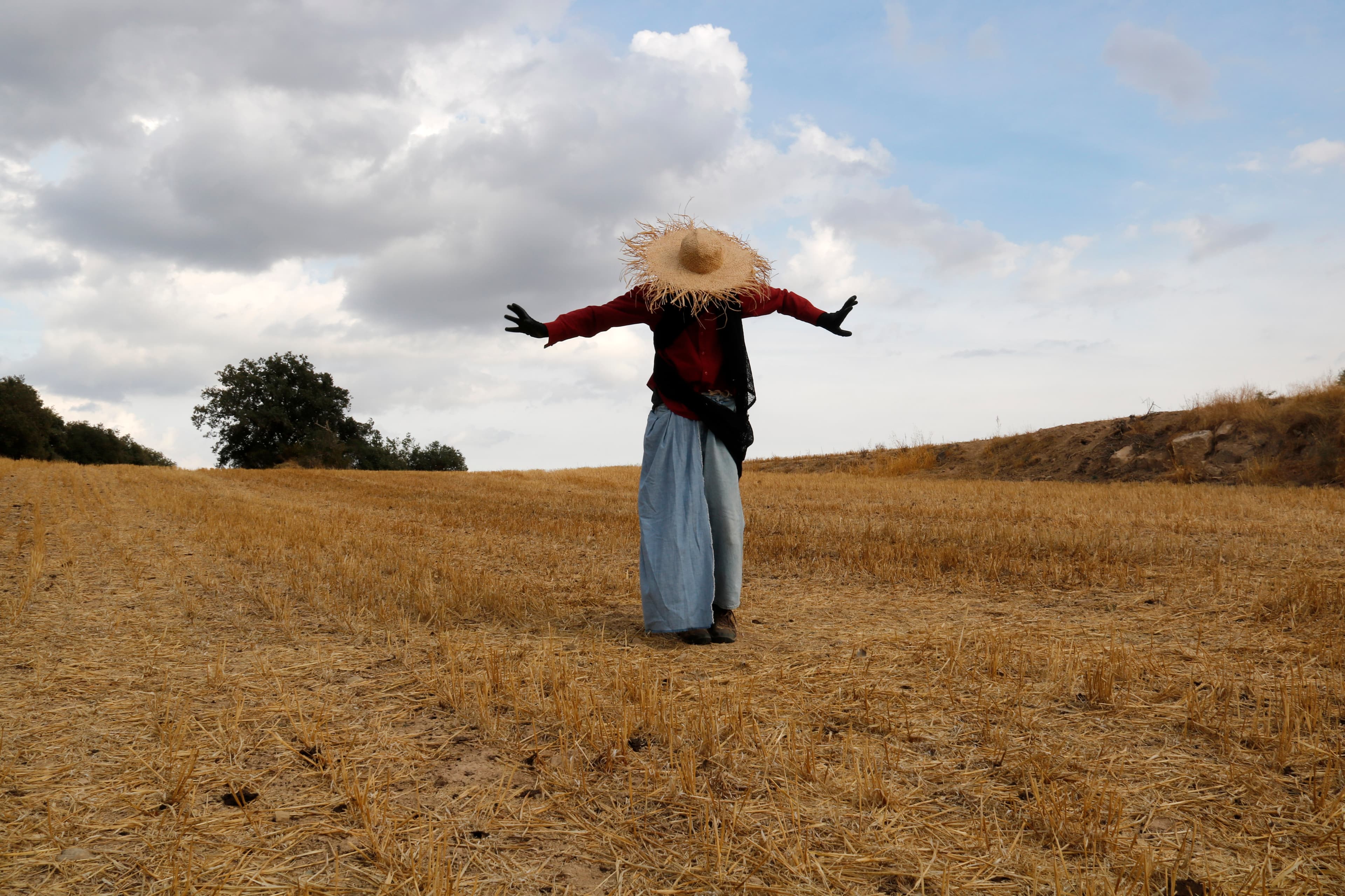 El festival Natures celebra aquest cap de setmana la seva 6a edició amb una vintena de propostes artístiques d'arrel contemporània