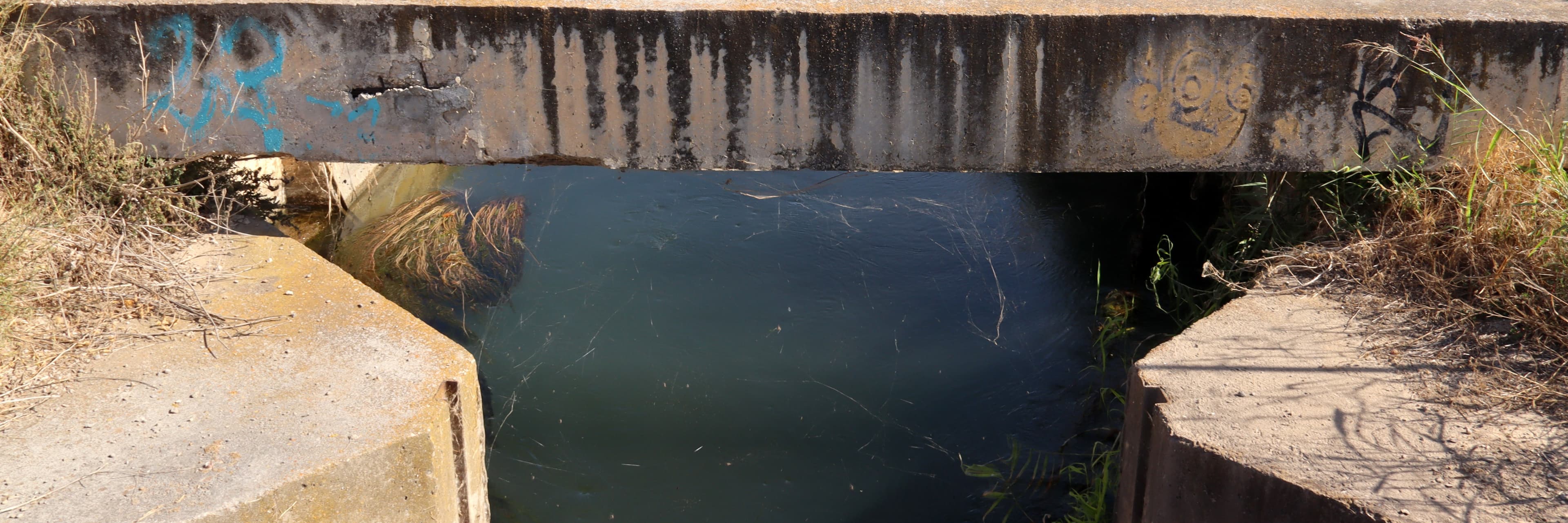 La conca del Segre i la Noguera Pallaresa han entrat en estat de sequera prolongada després d’un estiu i un setembre sense pluges