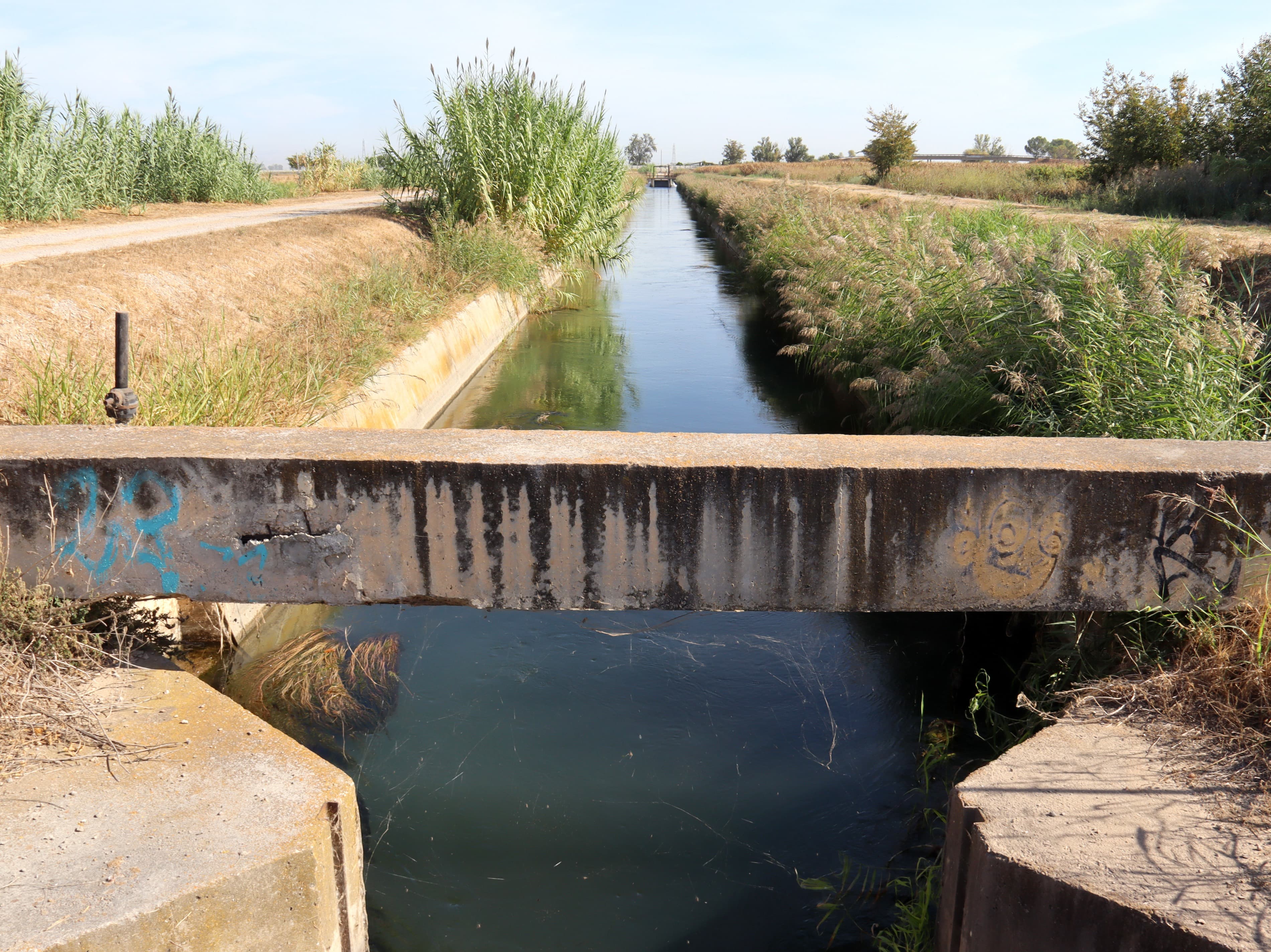La conca del Segre i la Noguera Pallaresa han entrat en estat de sequera prolongada després d’un estiu i un setembre sense pluges