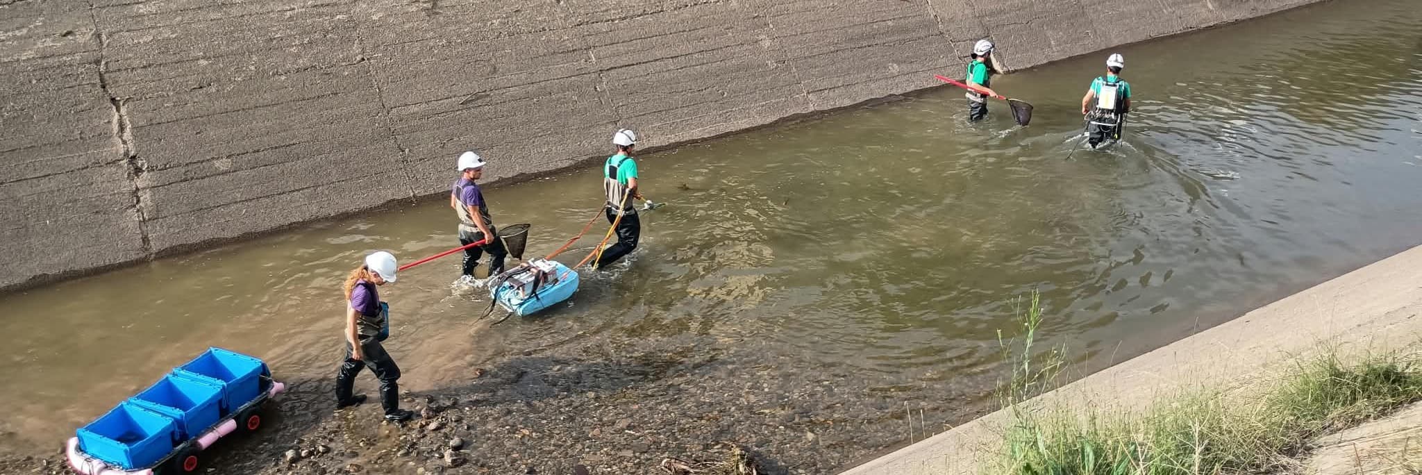 Endesa inicia el buidatge periòdic del canal de Seròs per fer-hi treballs de manteniment i millora