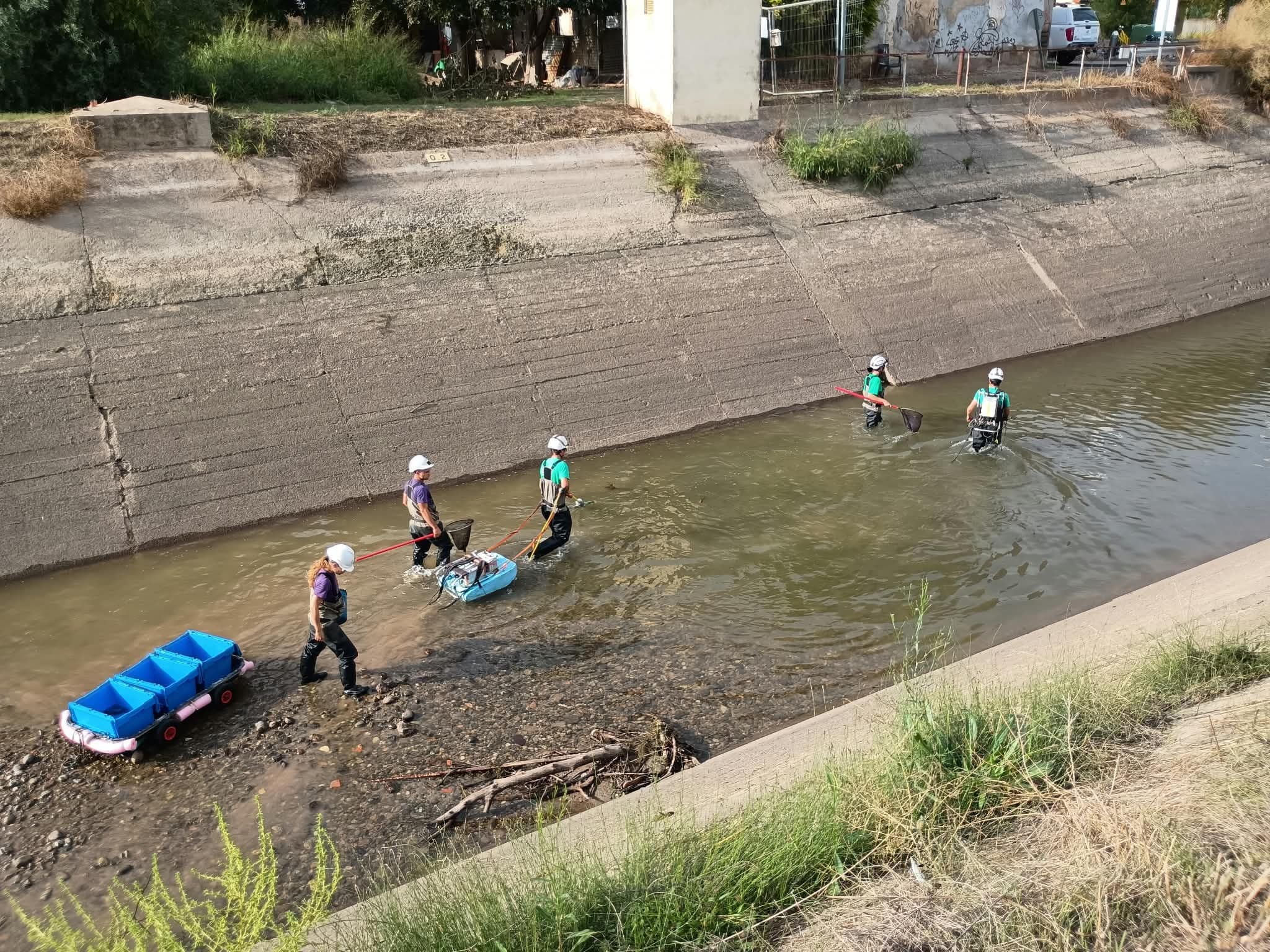 Endesa inicia el buidatge periòdic del canal de Seròs per fer-hi treballs de manteniment i millora