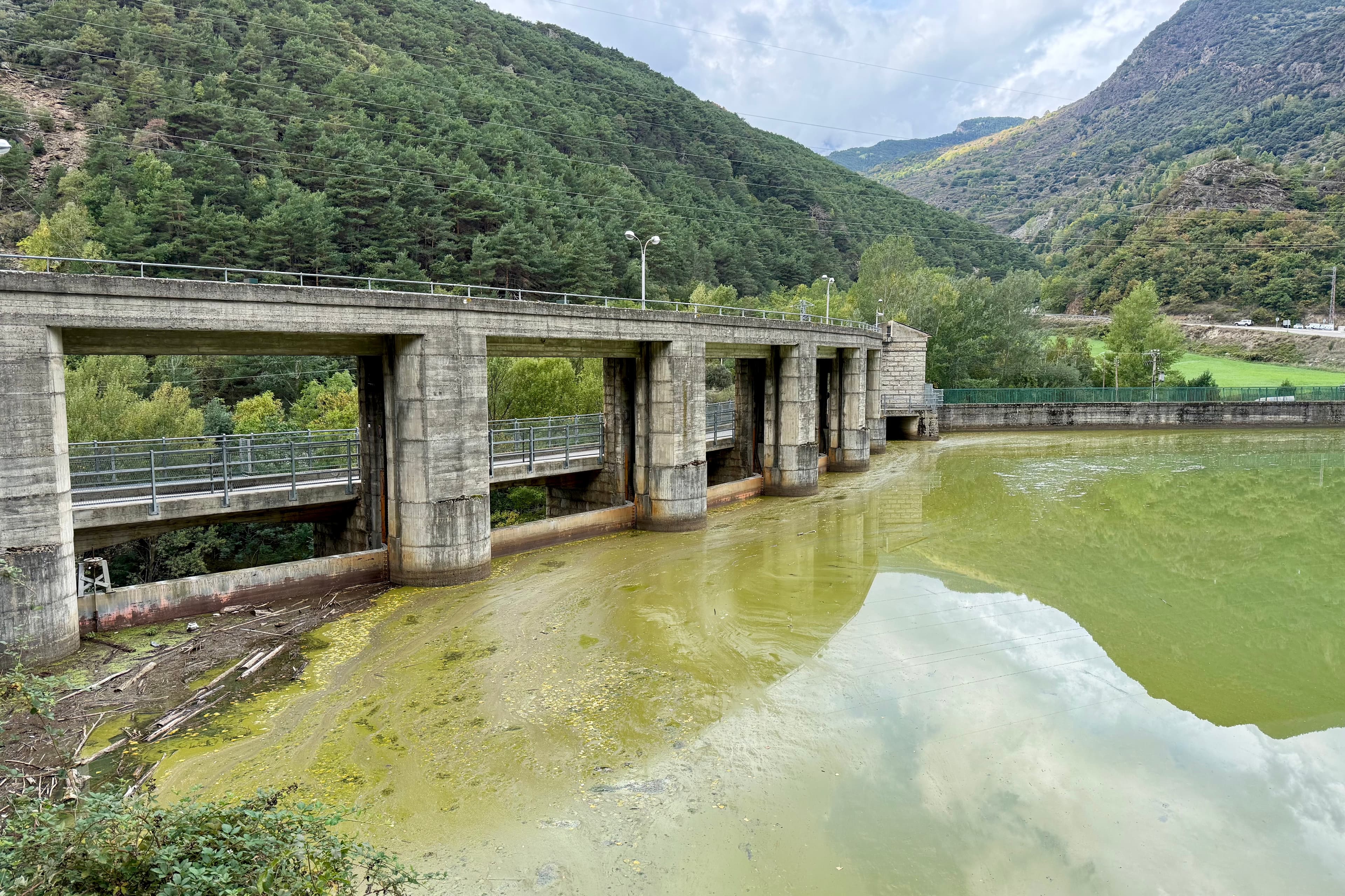 L'aigua del pantà de la Torrassa apareix tenyida de verd per unes algues que poden produir substàncies verinoses