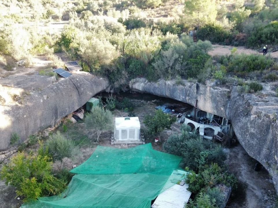 Destapen una plantació de marihuana a Bovera que acaba amb 7 detinguts