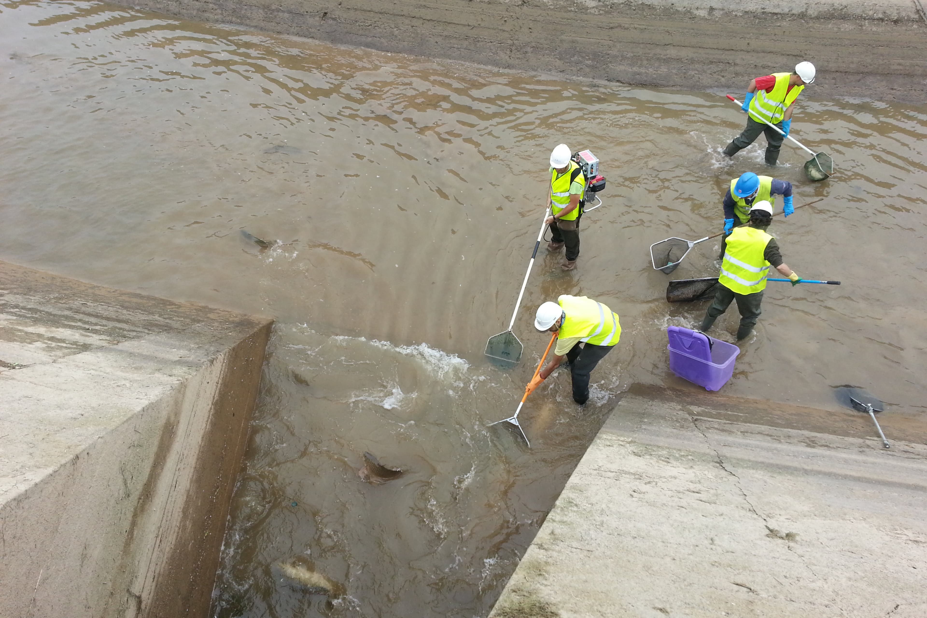 Endesa inicia el buidatge biennal dels canals de Balaguer, Térmens i Lleida per fer-hi treballs de millora