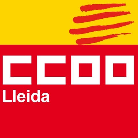 CCOO convoca a Lleida una vaga parcial i concentració del Sector de l’Acció Social