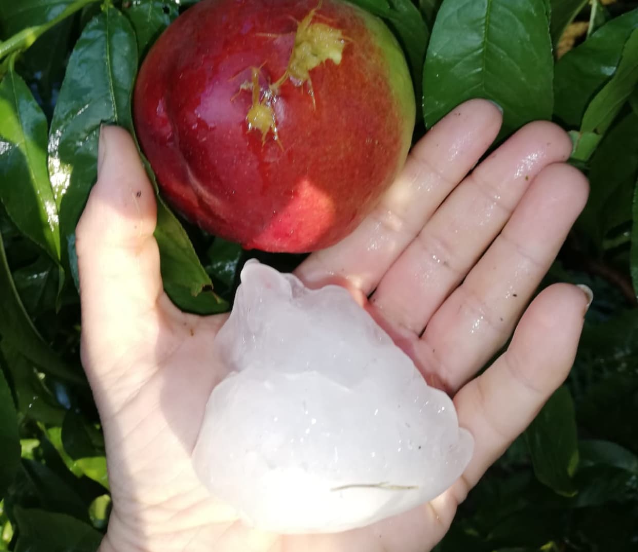 Protecció Civil demana prudència per les pluges previstes aquesta tarda