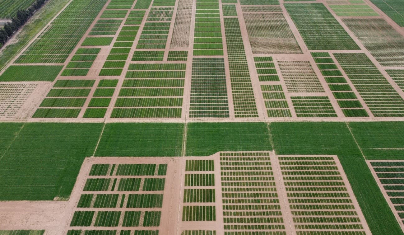 El departament d’Agricultura destinarà prop de 40 milions d'euros a la modernització dels regadius comunitaris