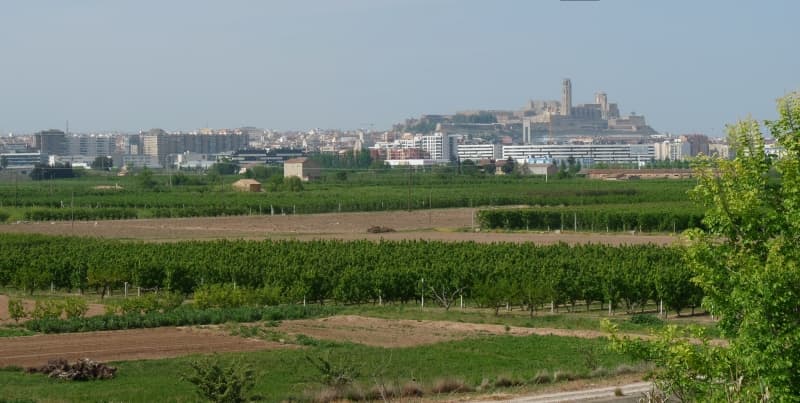 Malestar per l'excarceració d'un dels investigats per l'onada de robatoris i incendis a cases de l'Horta de Lleida