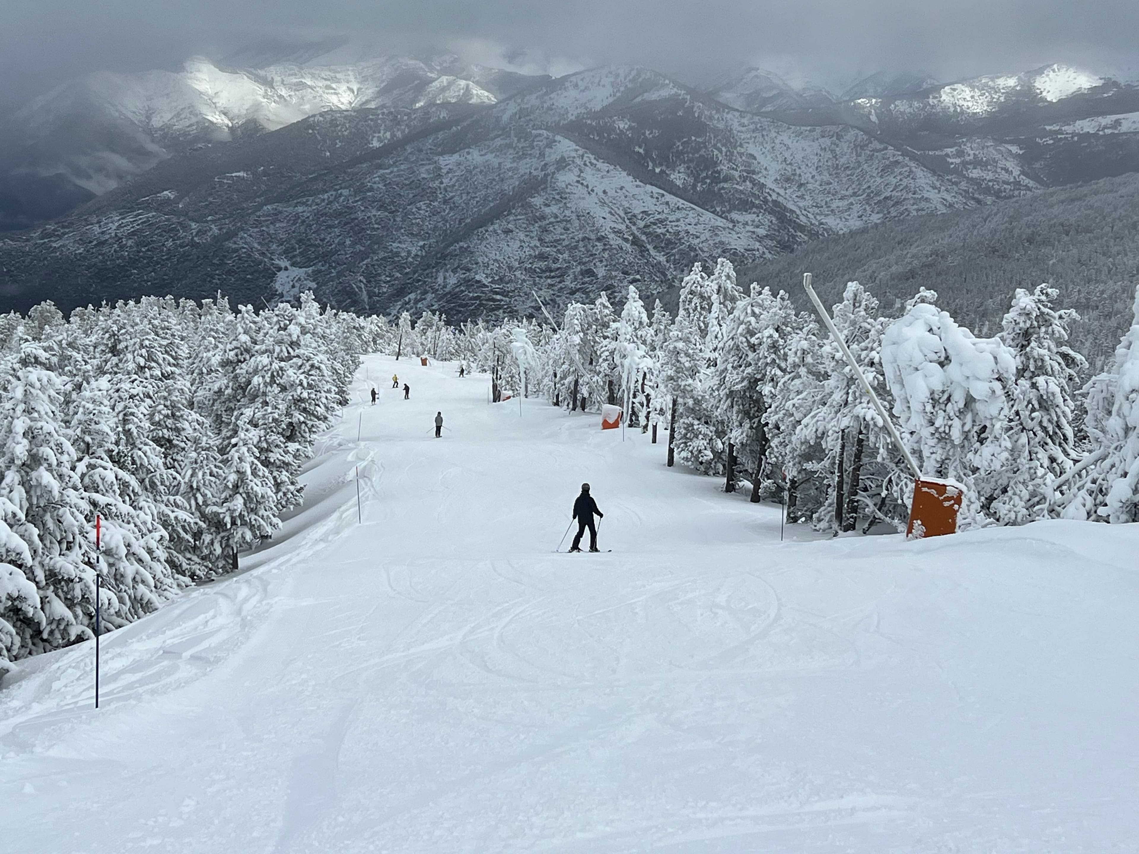 Onze patronals empresarials i turístiques lamenten que el Pirineu no tingui "un projecte territorial clar" per al futur