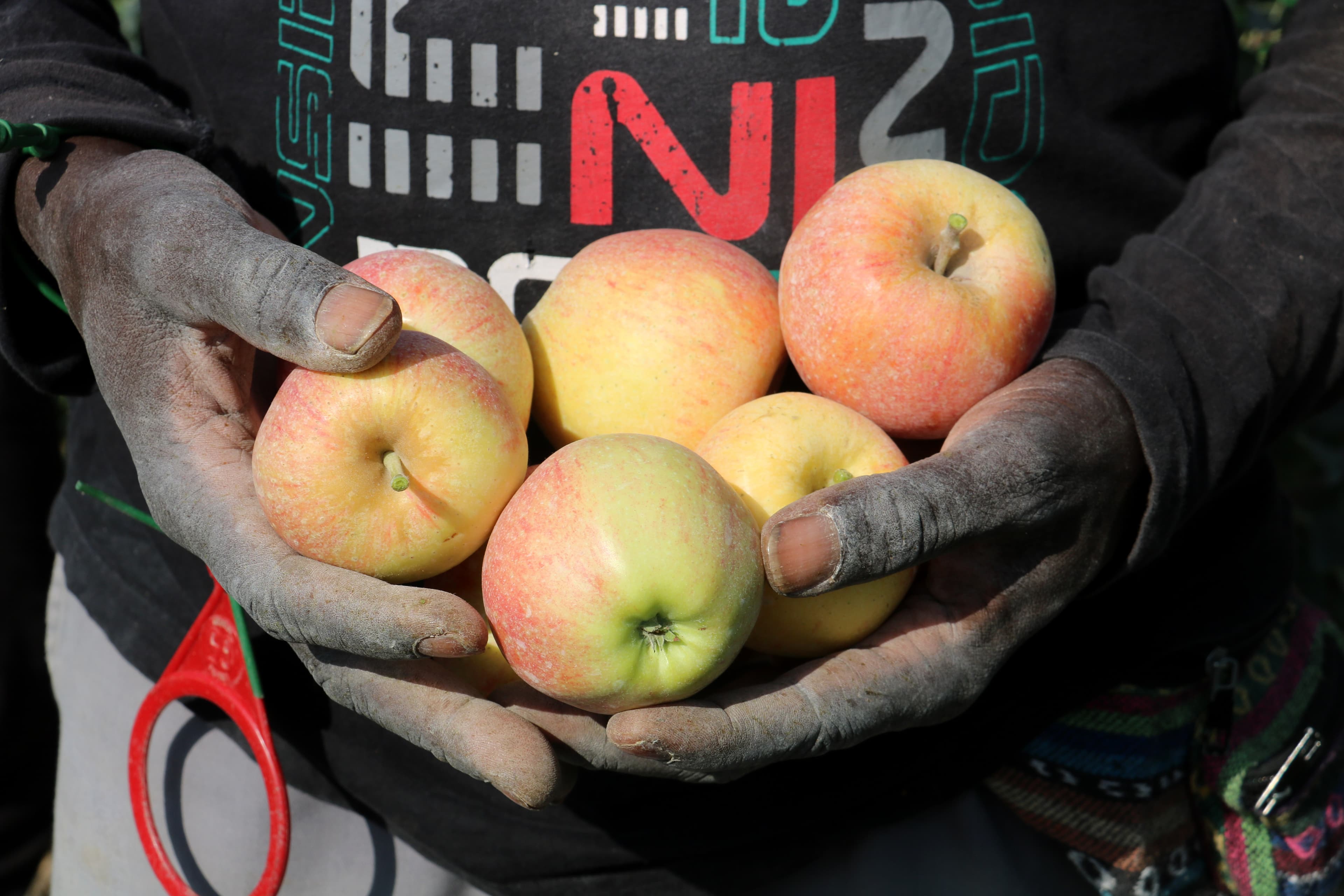 Fruita amb Justícia Social demana al govern municipal de Lleida que “faci els deures” en matèria social durant el 2026