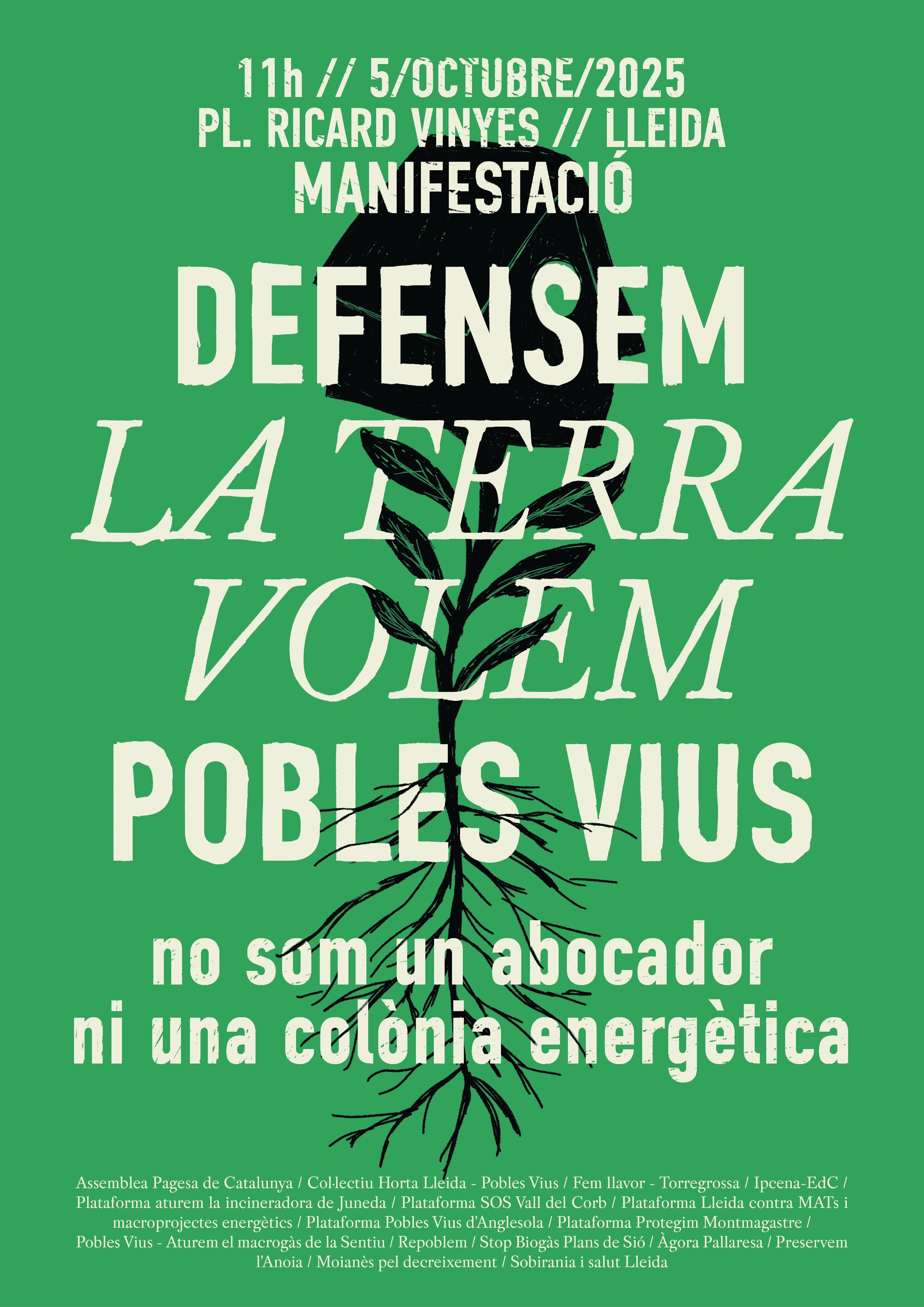 Més d'un centenar d'entitats i col·lectius donen suport a la manifestació contra els macroprojectes energètics al territori