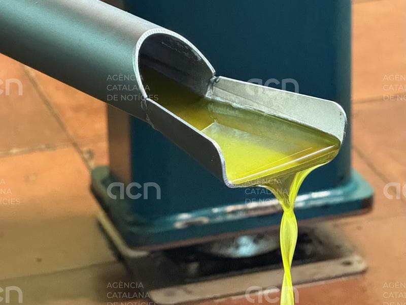 La Cambra de Comerç de Lleida demana no generar alarma davant la possibilitat de tallar relacions comercials amb els EUA