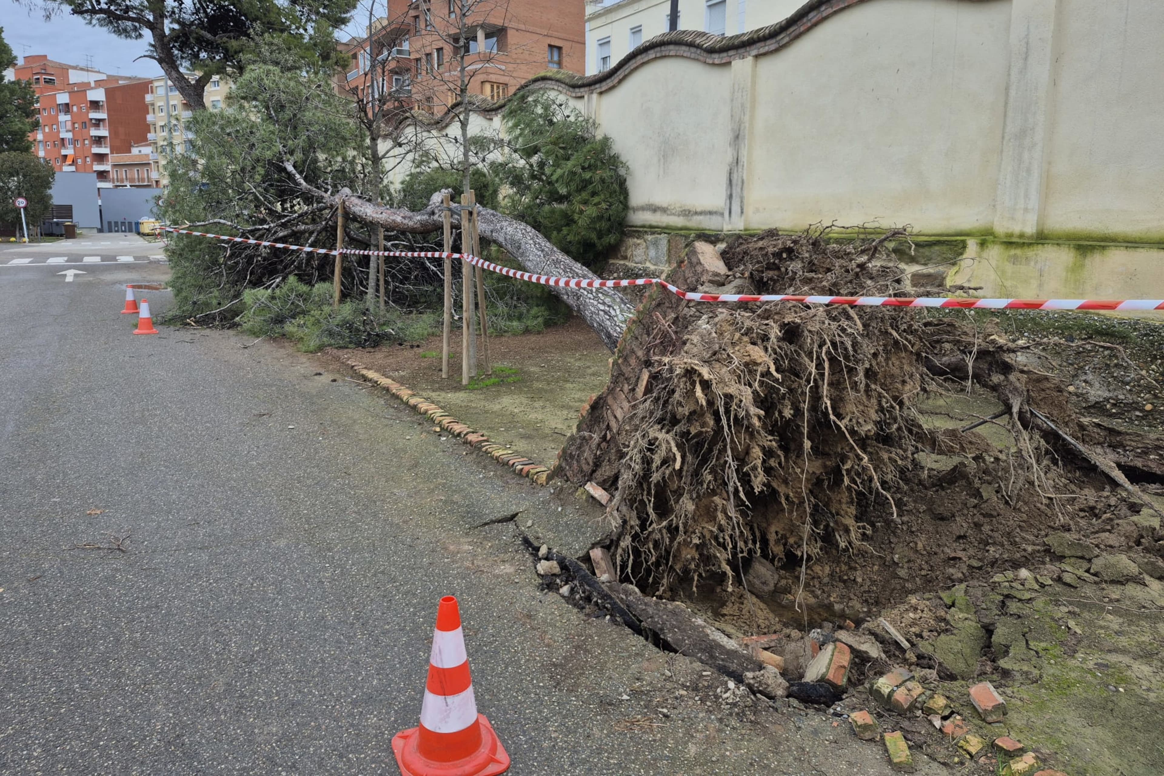 Tanquen temporalment 2 boxes a l’hospital Santa Maria per goteres a la coberta